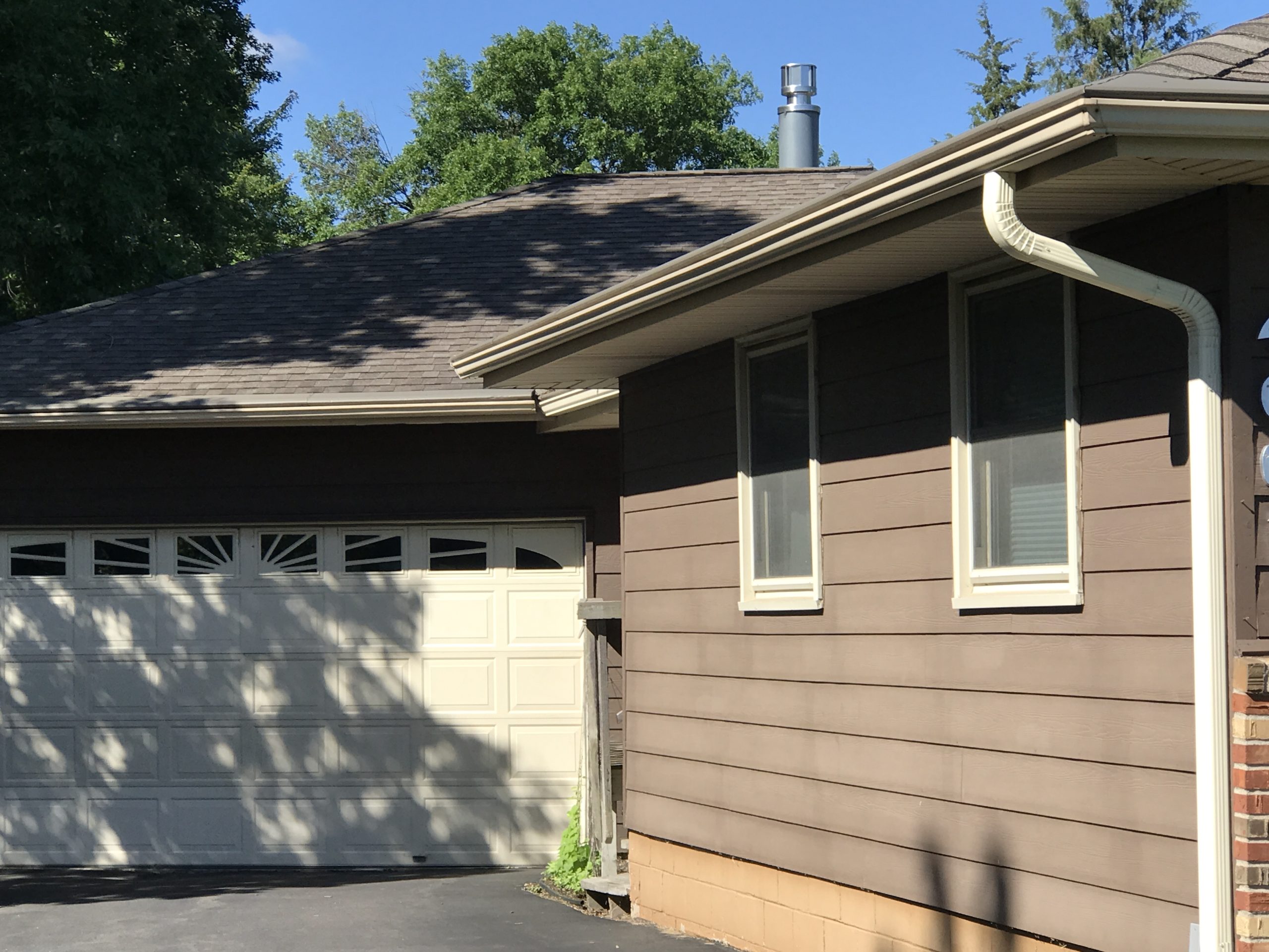 Mold And Mildew Damage