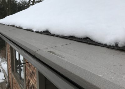 snowy